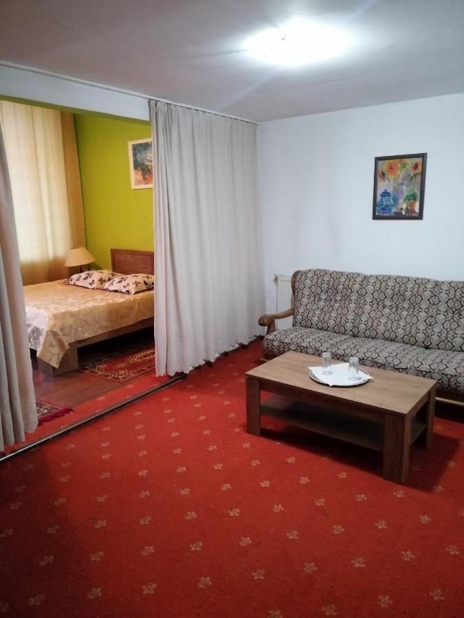 Hotel Rares Botoşani エクステリア 写真