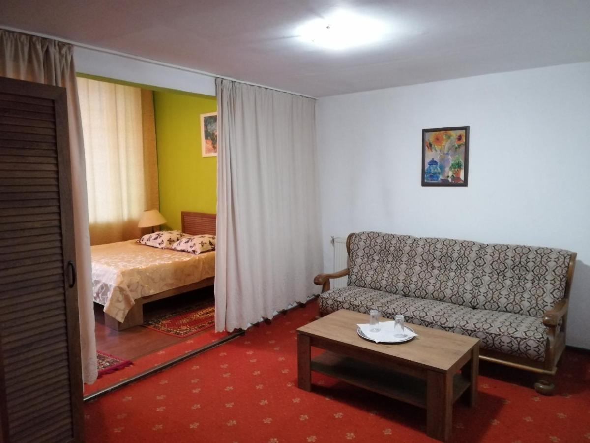 Hotel Rares Botoşani エクステリア 写真